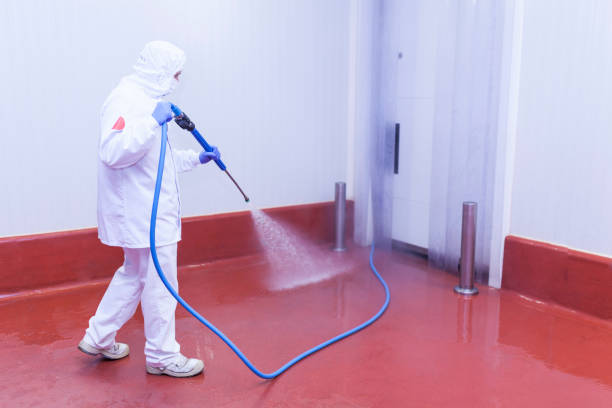 Best Sidewalk and Walkway Pressure Cleaning in Strawberry Point, IA