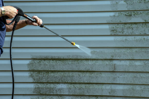 Best Window and Screen Pressure Cleaning in Strawberry Point, IA